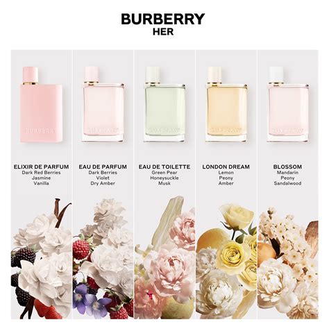 burberry her цена|where to buy Burberry Her.